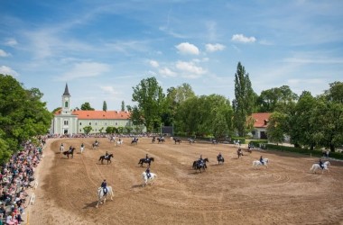 Národní hřebčín Kladruby nad Labem